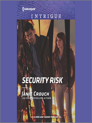 cover image of Security Risk